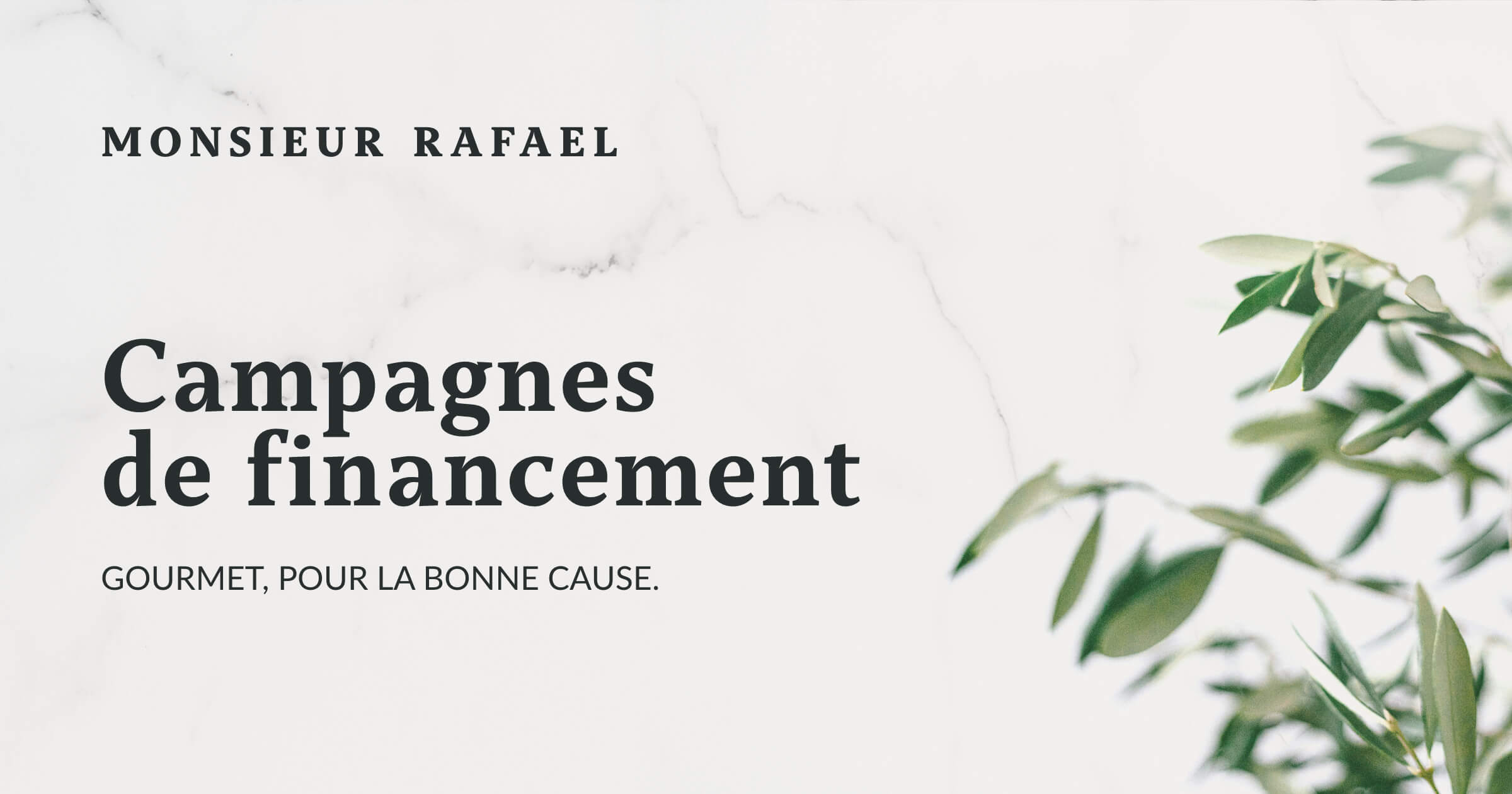 Soutenir Une Campagne Monsieur Rafael